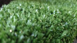 דשא סינטטי איכותי דגם סטאר 10 סנטיגן