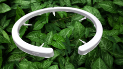 טפטפת קשת ™NetBow לעציץ, לפיזור השקיה אחיד, קוטר: 25 ס"מ, 8 יציאות