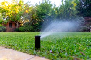 איך לבחור מחשב השקיה