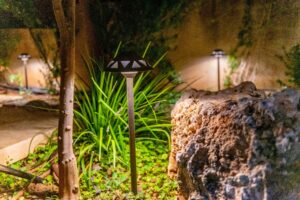 המדריך לבחירת תאורת גינה