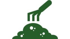 דישון והדברה